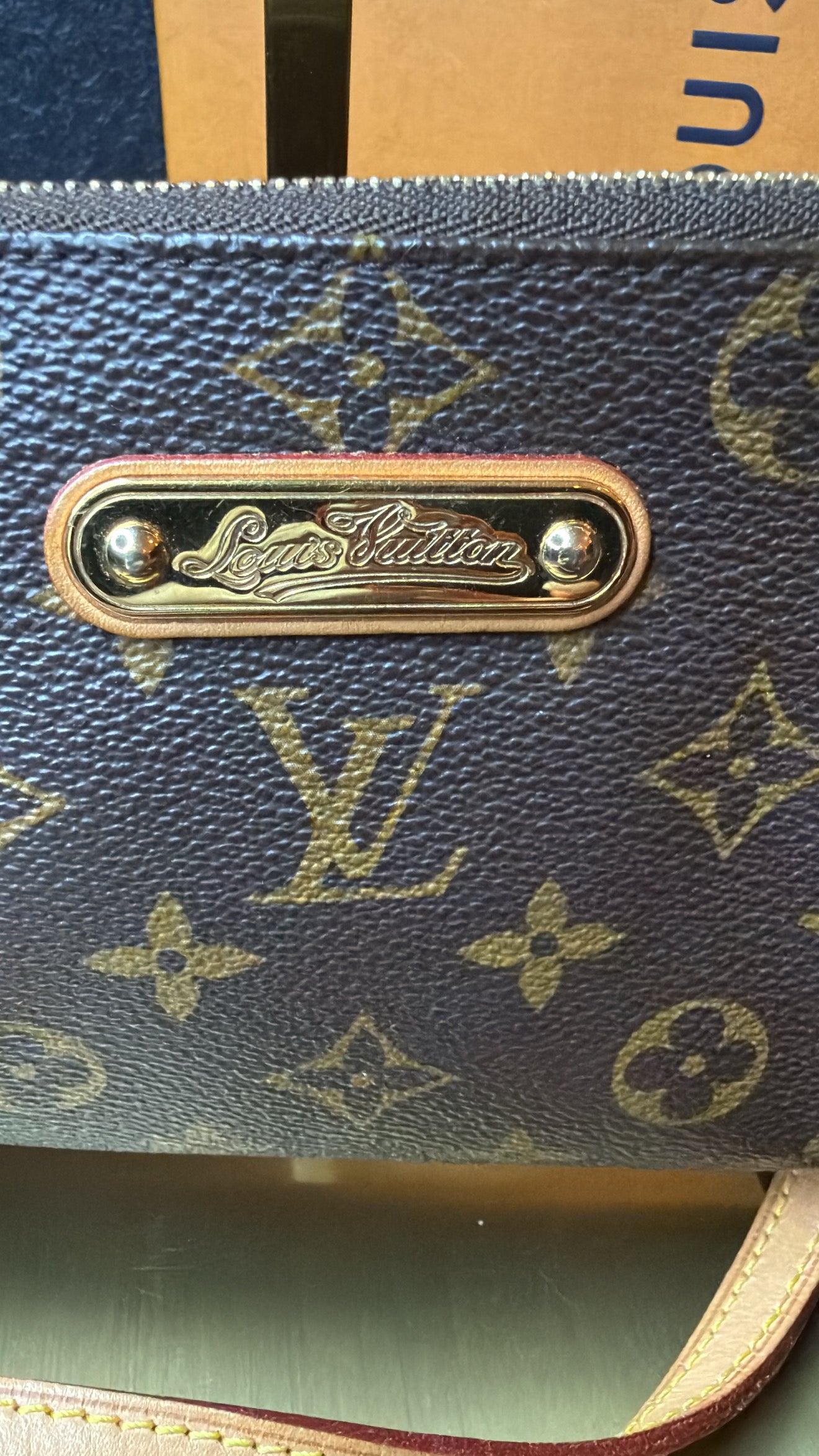 Louis Vuitton Monogram Pochette Eva Clutch | Convertible Chain Shoulder & Crossbody Bag